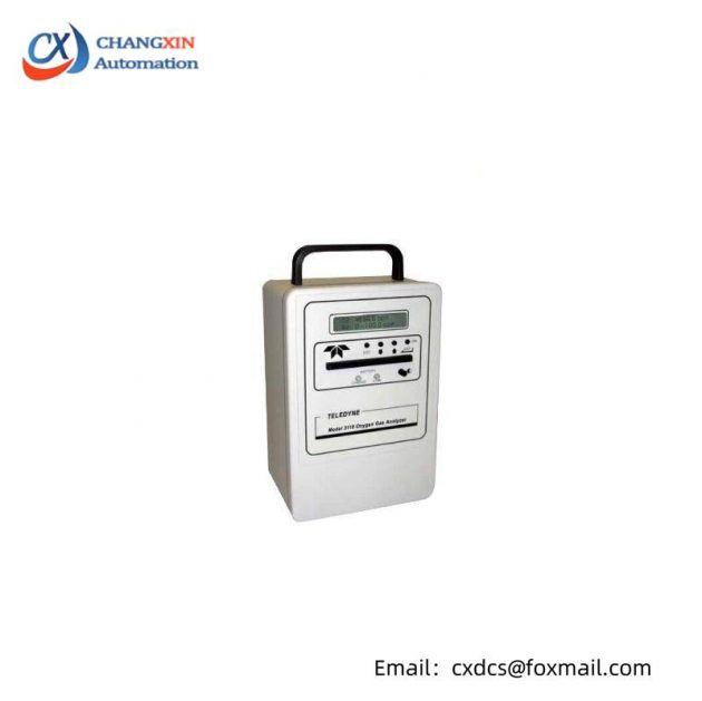 Teledyne 3110 Portable Oxygen Analyzers, High Precision, Compact Design, Easy to Use