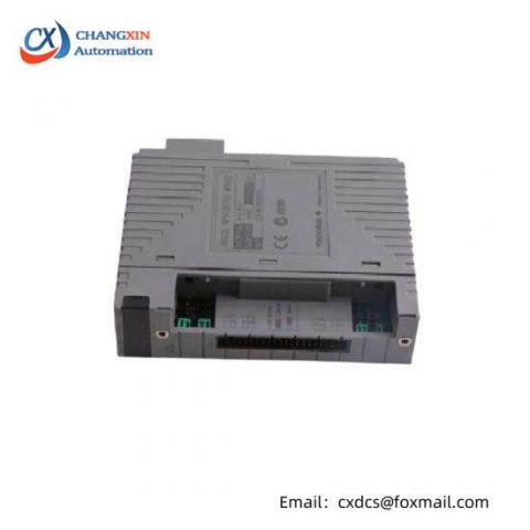 Yokogawa AAI841-H00: Industrial Grade Analog I/O Module