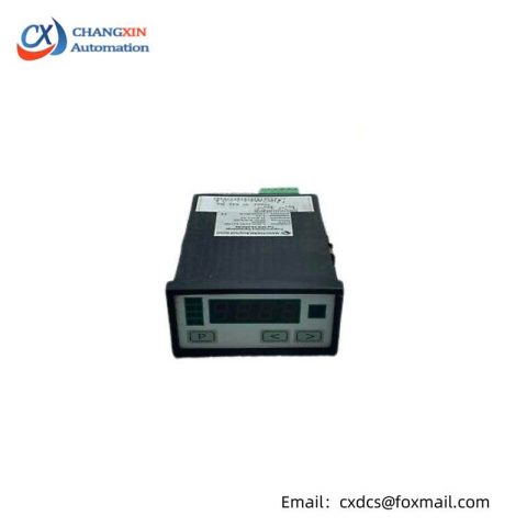 Negele Prozessoren-Anzeige DPM-GS-2GW-S Digital Display - High Precision Measurement & Control