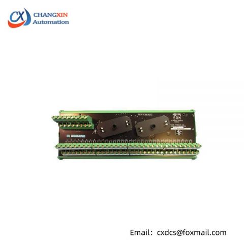 SIEMENS 16169-1-07 Analog Input Output Module