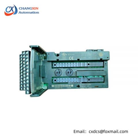 GE IC200CHS022J Analog Input Module