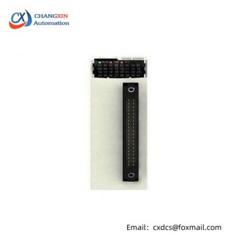Schneider Modicon X80 BMXDDM3202K Discrete Mixed IO Module