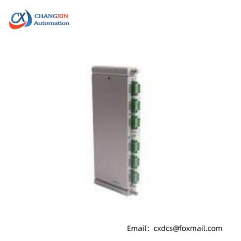 Bently Nevada 125065-30 Industrial Automation Module for Enhanced Performance