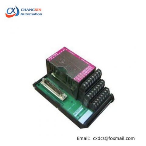 FOXBORO FoxboroP07 Module, 200 Characters Limit